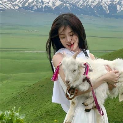 我的朋友们