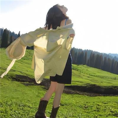 黄飞鸿义取丁财炮国语